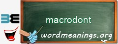 WordMeaning blackboard for macrodont